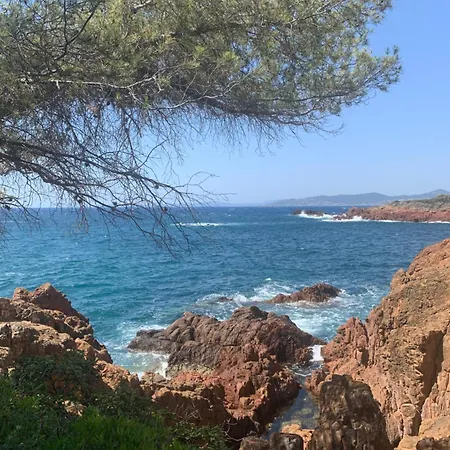 公寓 Climatise Terrasse St Raphael Face Au Port Santa Lucia